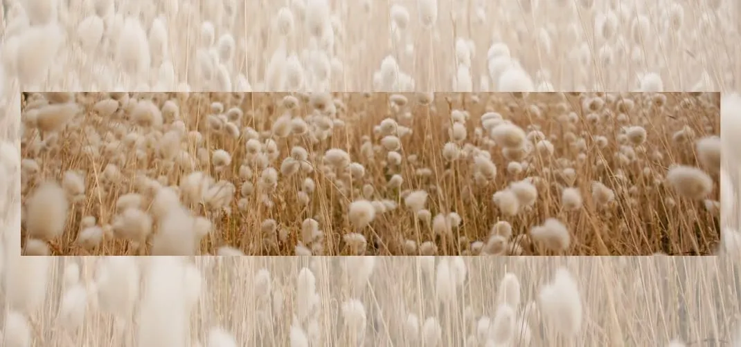 Luxe Egyptisch katoenen dekbedovertrek van Néarr