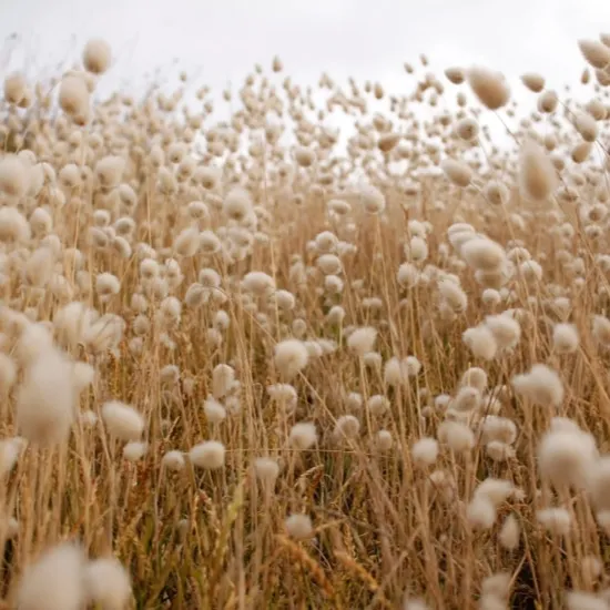 Luxe slaapkamer met Néarr beddengoed